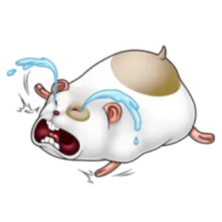 😭 crying, guinea pig, sad, animal, rodent, tears telegram sticker