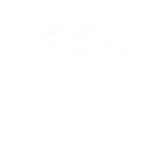 🎁