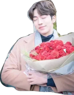 ❤ roses, fleurs, bouquet, homme, cadeau, romance telegram sticker