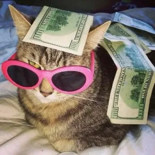 Meow Meow ^●-●^ whatsapp stickers