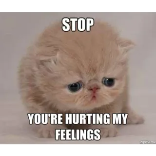 😭 STOP
YOU'RE HURTING MY FEELINGS gato, gatito, triste, parar, sentimientos telegram sticker