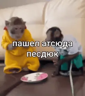 😔 пашел отсюда пездюк monkey, animals, swear words, offensive telegram sticker