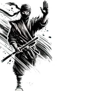 ✋ Ninja, Guerrero, Espada, Katana, Luchador, Artes marciales, Acción whatsapp sticker