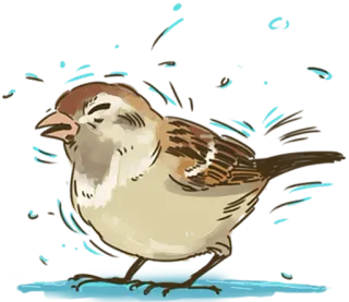 🐤 птица, воробей, милый, животное, дикая природа, природа whatsapp sticker