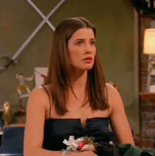 🍕 Robin Scherbatsky How I Met Your Mother phụ nữ, váy, lo lắng, chương trình TV, nhân vật telegram sticker