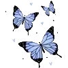 🦋