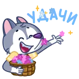 💐 serigala, senang, kartun, bunga, keranjang, imut, hewan telegram sticker