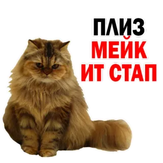😂 ПЛИЗ
МЕЙК
ИТ СТАП gato, engraçado, texto, meme whatsapp sticker