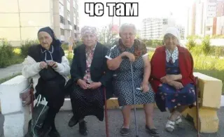 ❔ ЧЕ ТАМ femmes âgées, banc, russe, babouchkas telegram sticker