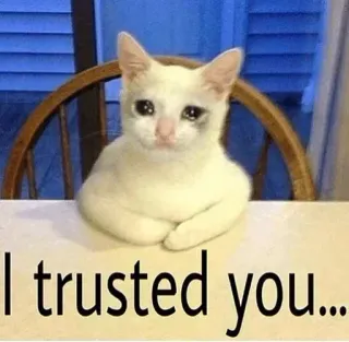 🥺 I trusted you... kot, smutny, zaufanie, mem whatsapp sticker