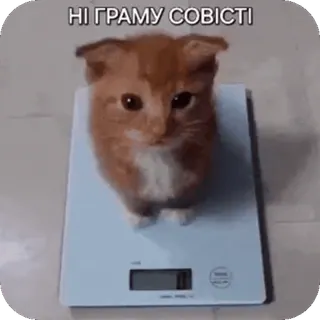 Больше стиков тут: @stikery4 telegram stickers