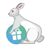 🐇