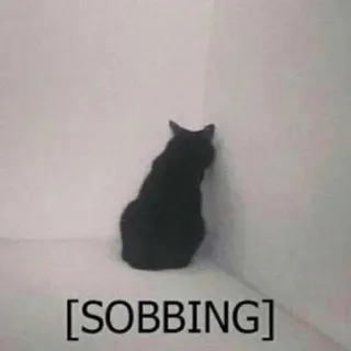 🐈 SOBBING chat, pleurant, triste, animal, mème, chat noir, désespéré whatsapp sticker