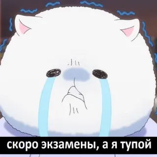 🤔 скоро экзамены, а я тупой chorando, exame, triste, anime, gato telegram sticker