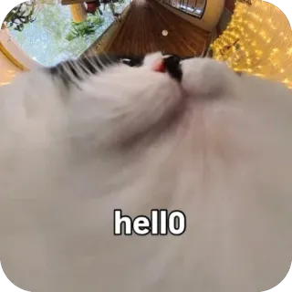 🫥 hell0 whatsapp sticker