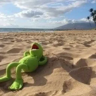 🏖 Kermit rana, spiaggia, kermit, muppets, rilassante, sabbia telegram sticker
