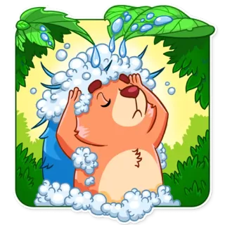 🛁 animale, orso, bagno, doccia, pulito, bolla telegram sticker