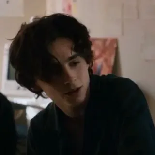 😕 Timothée Chalamet ทิโมธี ชาลาเมต์, นักแสดง, คนดัง, ภาพเหมือน telegram sticker