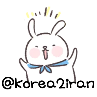 🐰 korea2in1 lindo, conejo, dibujos animados, animal, kawaii whatsapp sticker