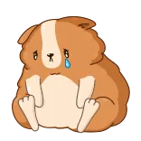 😢 cavia, verdrietig, huilen, dier, schattig telegram sticker