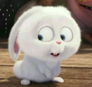 🕊 Snowball The Secret Life of Pets thỏ, dễ thương, động vật, thú cưng, trắng telegram sticker