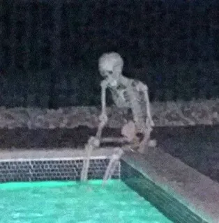 😏 esqueleto, piscina, noite, assustador, sinistro, escuro, morte, ossos telegram sticker