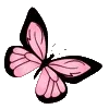 🦋