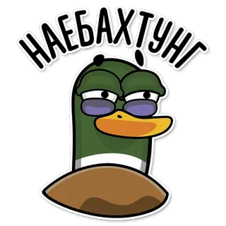 🤨 НАЕБАХТУНГ kaczka, kreskówka, śmieszne, mem, ptak telegram sticker