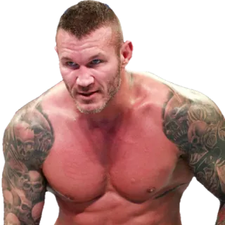 😵 Randy Orton борец, спортсмен, мускулы, фитнес, тату whatsapp sticker