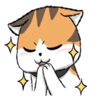 🙏 кот, милый, каваий, наклейка, животное, выражение, эмодзи telegram sticker