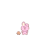 Small Animals Animation @stickersb2b telegram stickers
