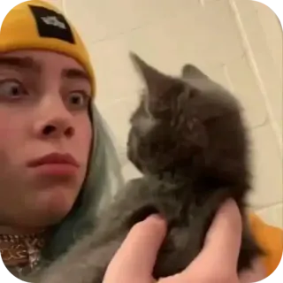 😳 Billie Eilish telegram sticker