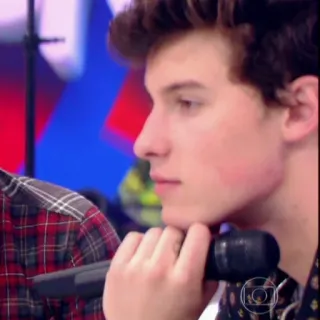 🤔 Shawn Mendes singer, celebrity, portrait, male telegram sticker