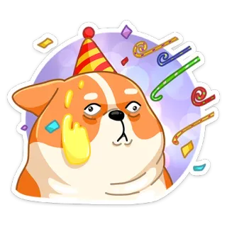 🥳 สุนัข, ปาร์ตี้, กระดาษสี, การเฉลิมฉลอง, หมวก, น่ารัก, สัตว์, วันเกิด telegram sticker