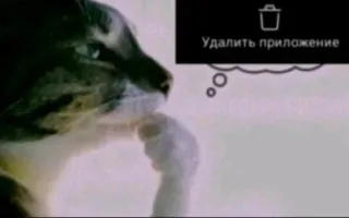 🌟 Thinking Cat Удалить приложение telegram sticker