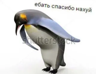 😑 ебать спасибо нахуй Pinguin, russische Schimpfwörter, beleidigend, anstößig, lustig, Meme telegram sticker