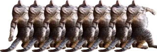 🕺 cat, walking, animal, meme, funny, pet telegram sticker