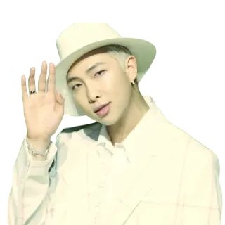👋 mann, hut, porträt, mode, person telegram sticker