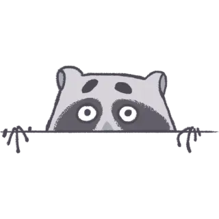 👀 raccoon, animal, cute, cartoon, mask, gray, eyes telegram sticker