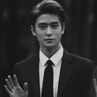 ✖️ man, pak, stropdas, portret, mode, kpop telegram sticker