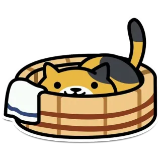 😮 кошка, питомец, животное, милый, кошачий, ванна, ванна whatsapp sticker