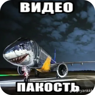 🚗 ВИДЕО ПАКОСТЬ telegram sticker