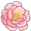 🌸