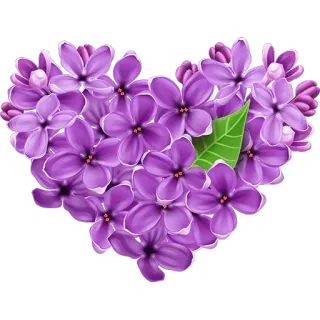 ❤ сирень, сердце, цветы, фиолетовый, цветочный, любовь telegram sticker