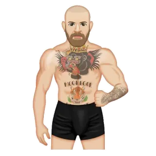 💪 Conor McGregor MCGREGOR Conor McGregor, MMA, combattant, UFC, champion, arts martiaux telegram sticker