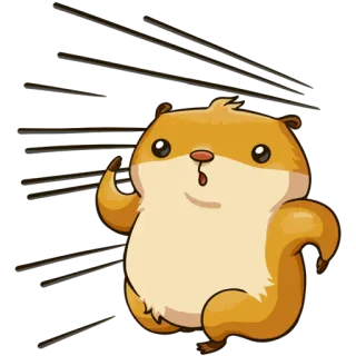 🏃 Hamster, Nagetier, Tier, Süß, Haustier telegram sticker