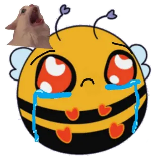 😢 abelha, chorando, triste, gato, meme, gato chorando telegram sticker