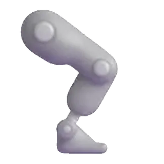 ๐ฆฟ