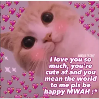 ❤️ I love you so much, you're cute af and you mean the world to me pls be happy MWAH ;* kat, schattig, liefde, hartverwarmend, hart telegram sticker