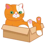 😜 kucing, kotak, hewan, peliharaan, oranye, kartun, lucu telegram sticker